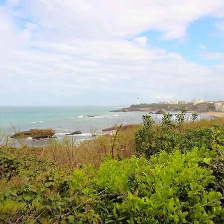 Cosy Au Coeur De Apartment