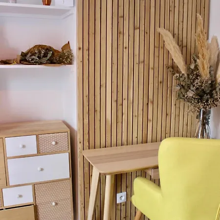 Cosy Au Coeur De Apartment Biarritz