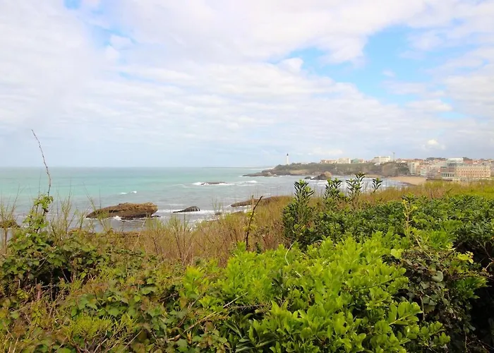 Cosy Au Coeur De Apartment